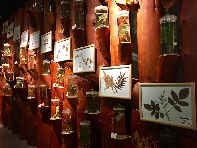 神农架自然博物馆