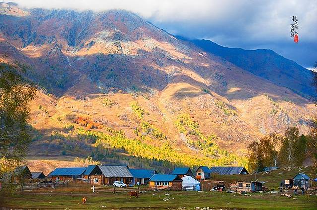 古尔班通古特沙漠