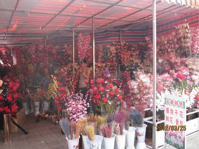 云南省博物馆旧馆