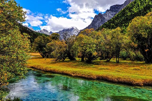 稻城亚丁-冲古草甸