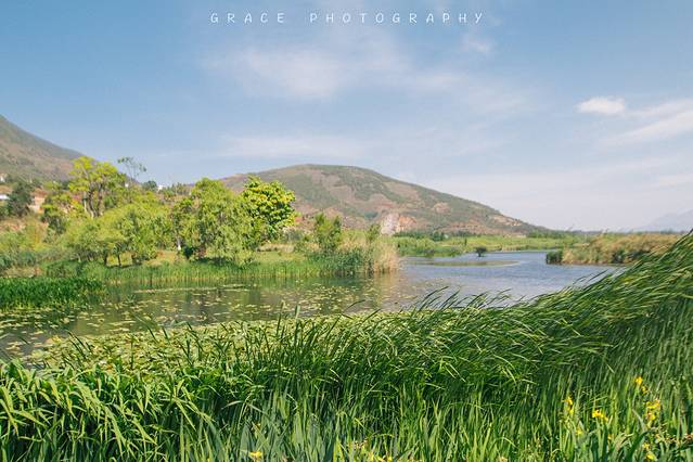 洱海月湿地公园