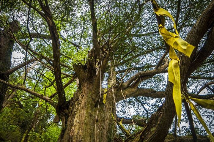 7丹山赤水风景名胜区位于宁波余姚市大岚镇柿