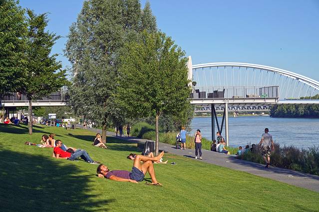 圣马丁主教座堂