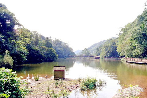 月城湖