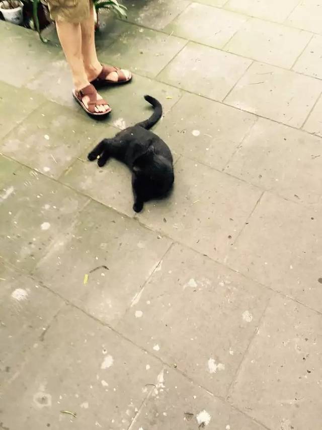 勅建弘慈广济寺