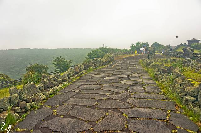 济源本家-济源参鸡汤