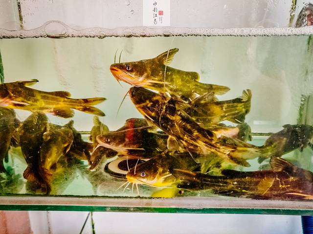 楼外楼·老饭店(周庄景区内店)