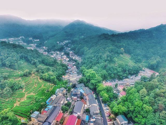 老龙井十八棵御茶园