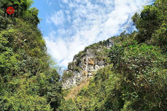华蓥山天意谷景区