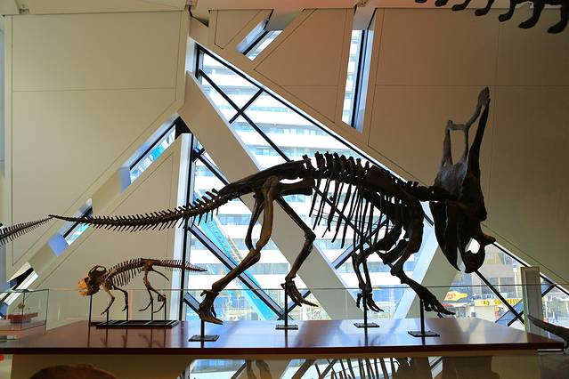 皇家安大略博物馆