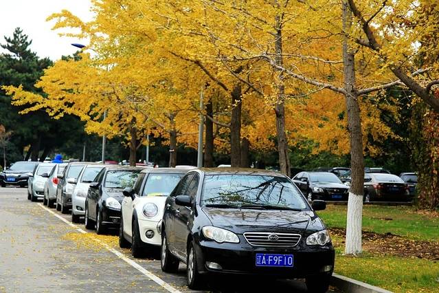 辽宁大学崇山校区