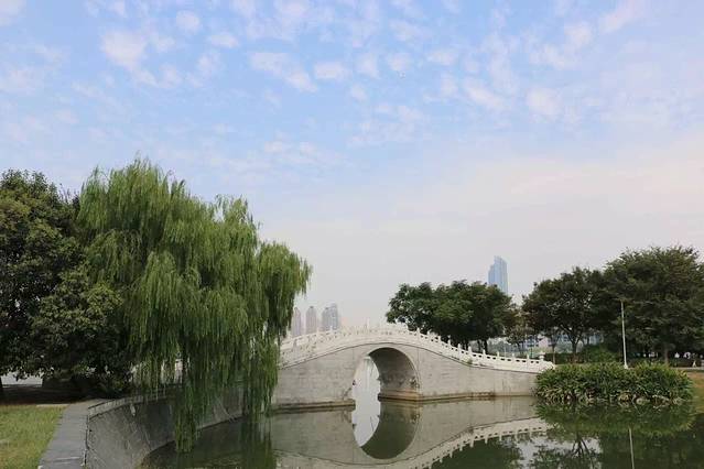 琴台小森林公园