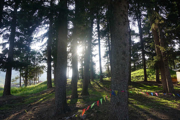 我对老爸说,咱这是出来洗肺了啊!) 郎木寺 特别