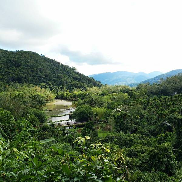 2018呀诺达雨林文化旅游区门票,保亭呀诺达雨