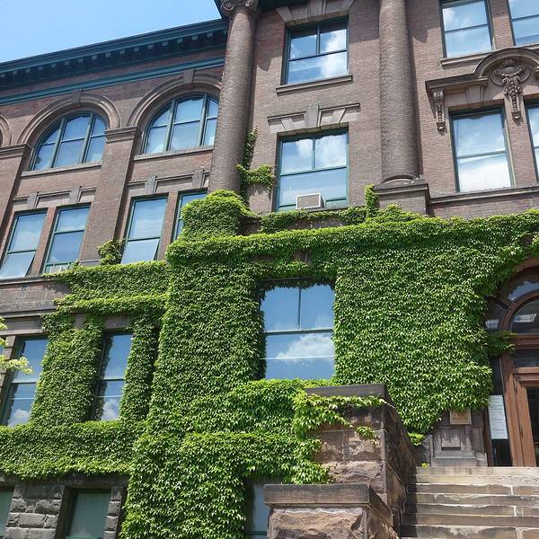 8多伦多大学门票,多伦多多伦多大学游玩攻略,