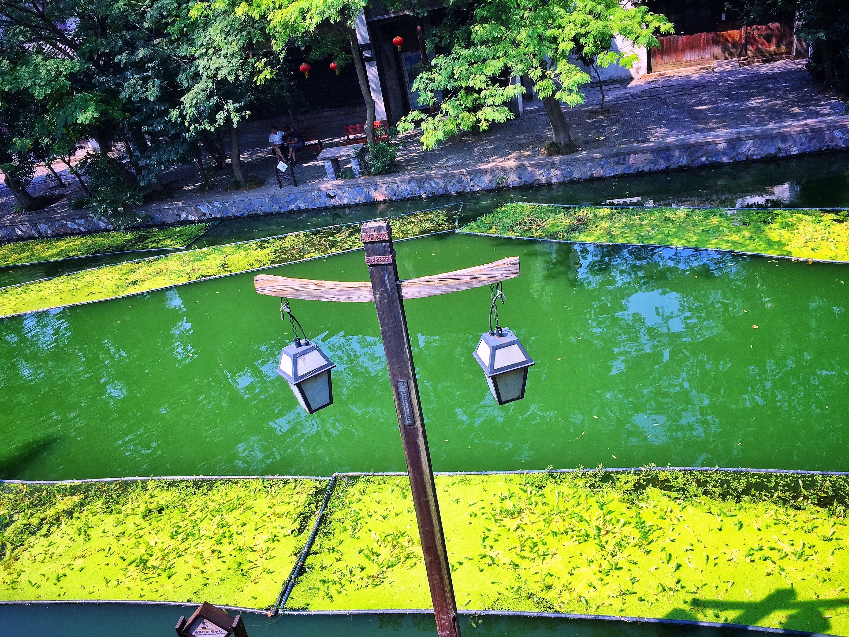 据南浔境内发现的洪城花城上石等古文化遗址证明早在新石器时代原始