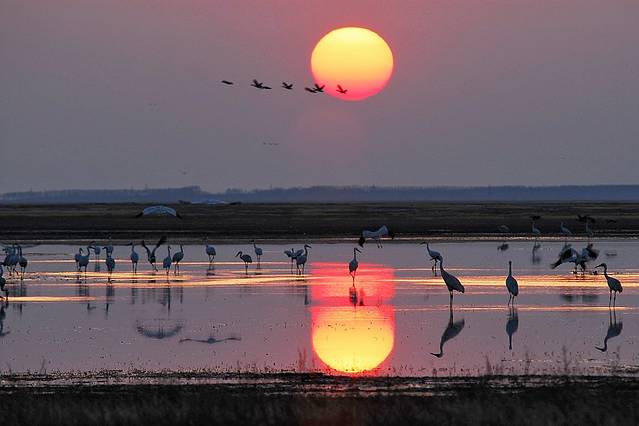 莫莫格国家级自然保护区