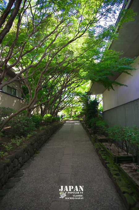 坠入温柔的关西梦乡--日本独行记2(京都大阪宇