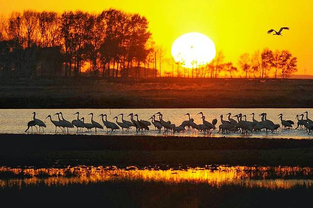 莫莫格国家级自然保护区