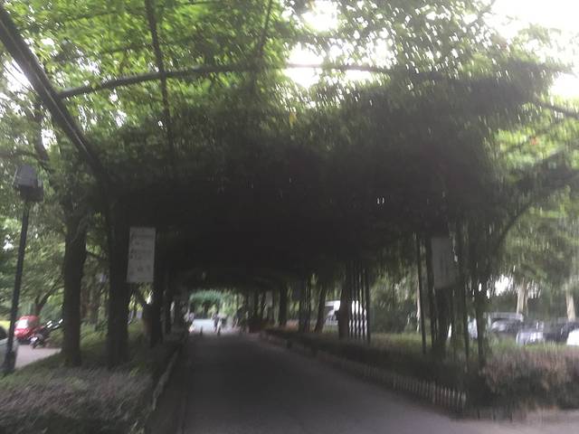 渤公岛生态公园