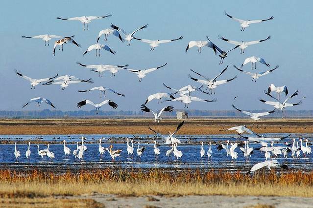 莫莫格国家级自然保护区