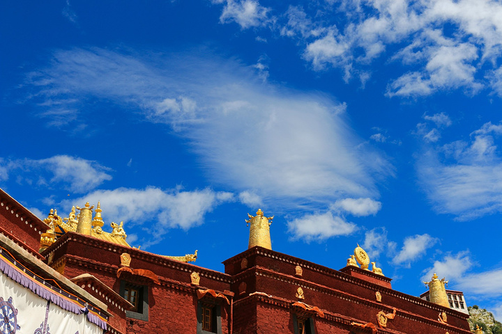 色拉乌孜山,位于拉萨北郊3千米处,周围柳林处处, 自古就是高僧活佛讲