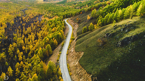 呼伦贝尔旅游景点图片