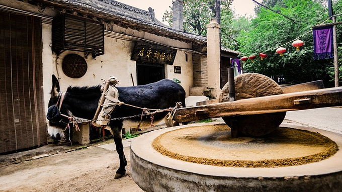 驴拉磨,驴子拉磨,驴拉磨卡通_大山谷图库