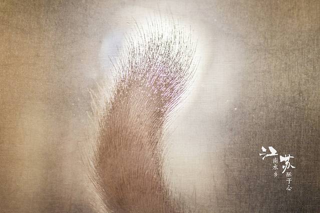 中国刺绣艺术馆