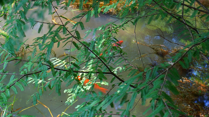 探寻《徐霞客游记》开篇地-浙江天台山_台州旅