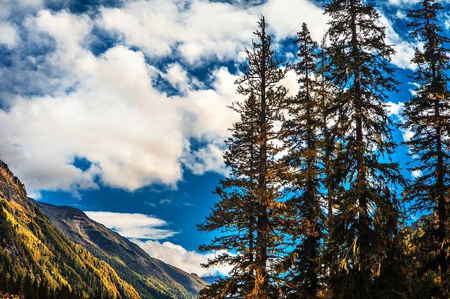 四姑娘山双桥沟景区