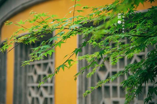 冶春(新港名兴花园店)