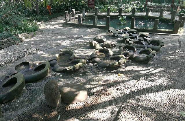 府南河活水公园