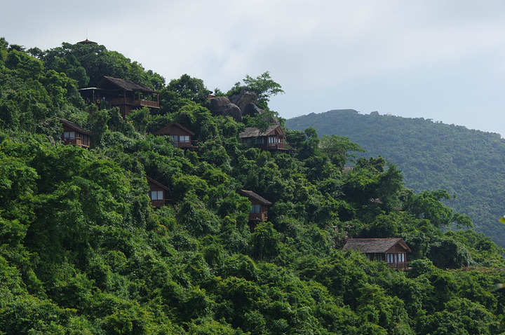 坐观光车到达热带天堂公园的第一个景点——兰花谷_亚龙湾热带天堂