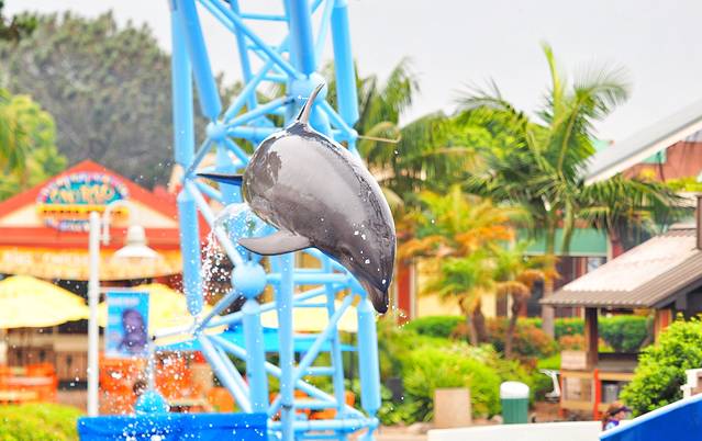 圣地亚哥海洋世界