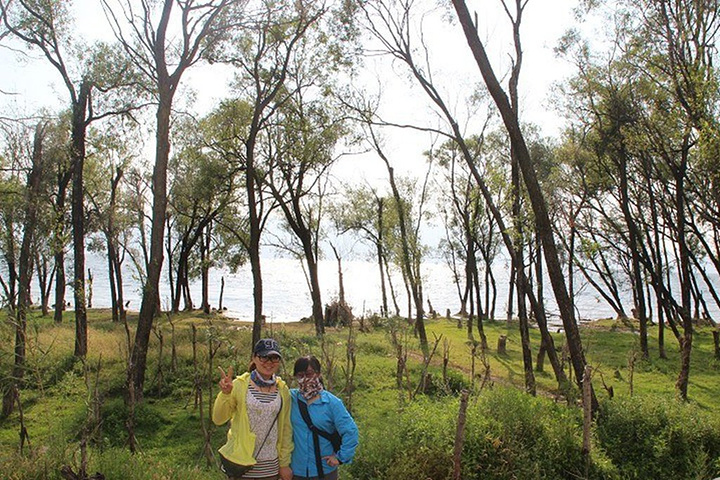 2017绝对是个挑战,但是不管三七二十一了,出来