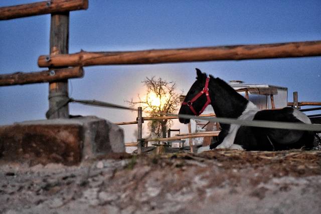 乌奇希萨尔城堡