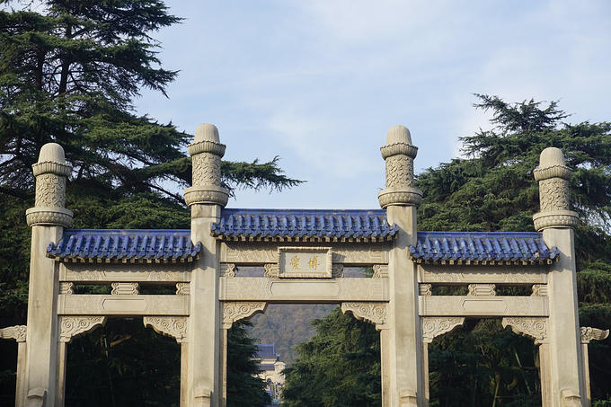 张府园-苜蓿园图片