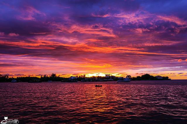 亚庇新天地酒吧