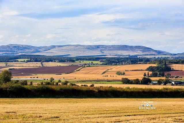格拉斯哥大教堂