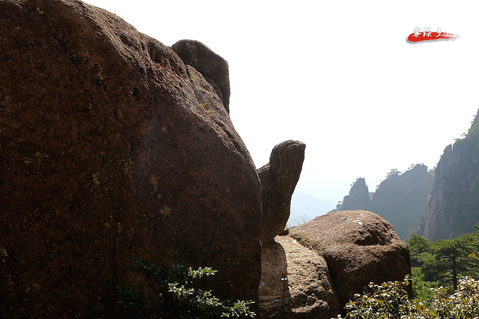 群峰顶上插茱萸,乘鸾踏碎天都云--重阳节黄山游