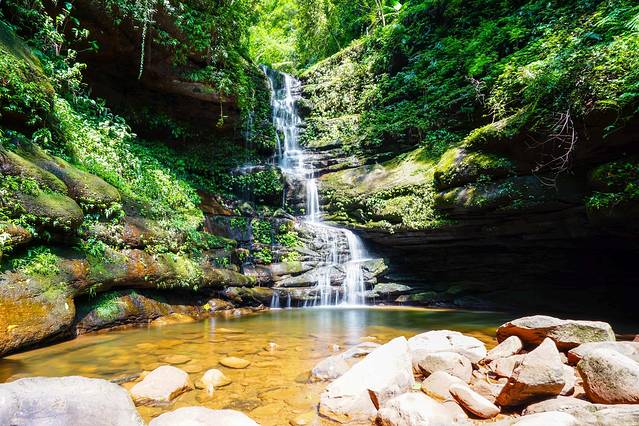 桫椤国家级自然保护区