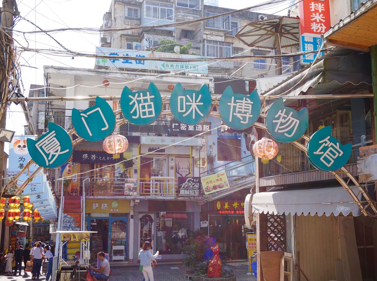 手机导航走去了顶澳仔猫街走十五分钟左右一个没有猫猫的猫咪博物馆好