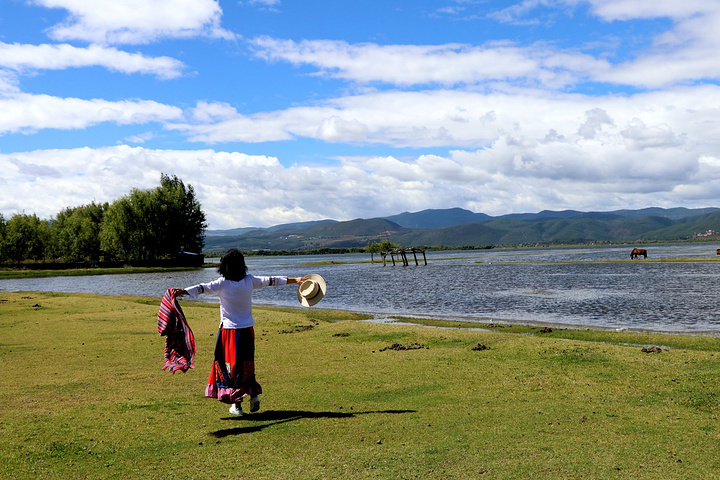 拉市海是许多人到丽江必去的一个景点一个很大的湿地公园蓝天白云和