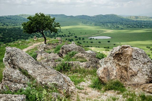 科尔沁国家级自然保护区