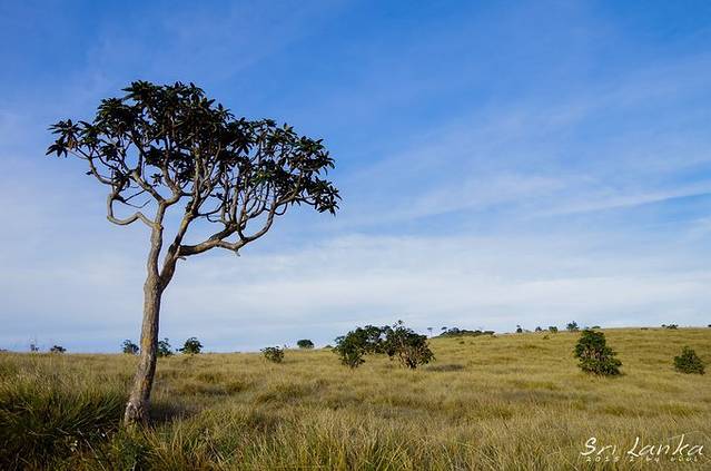 Great World's End Drop