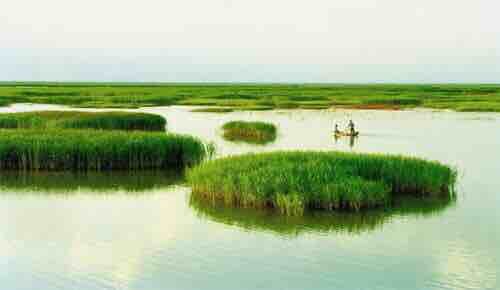 湿地公园