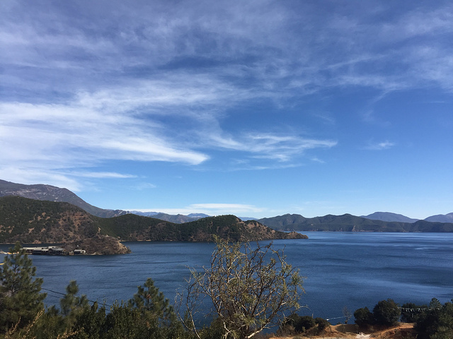 普通苹果后置相机拍摄,无滤镜景色,虽然我不是摄影高手,但是照片还是