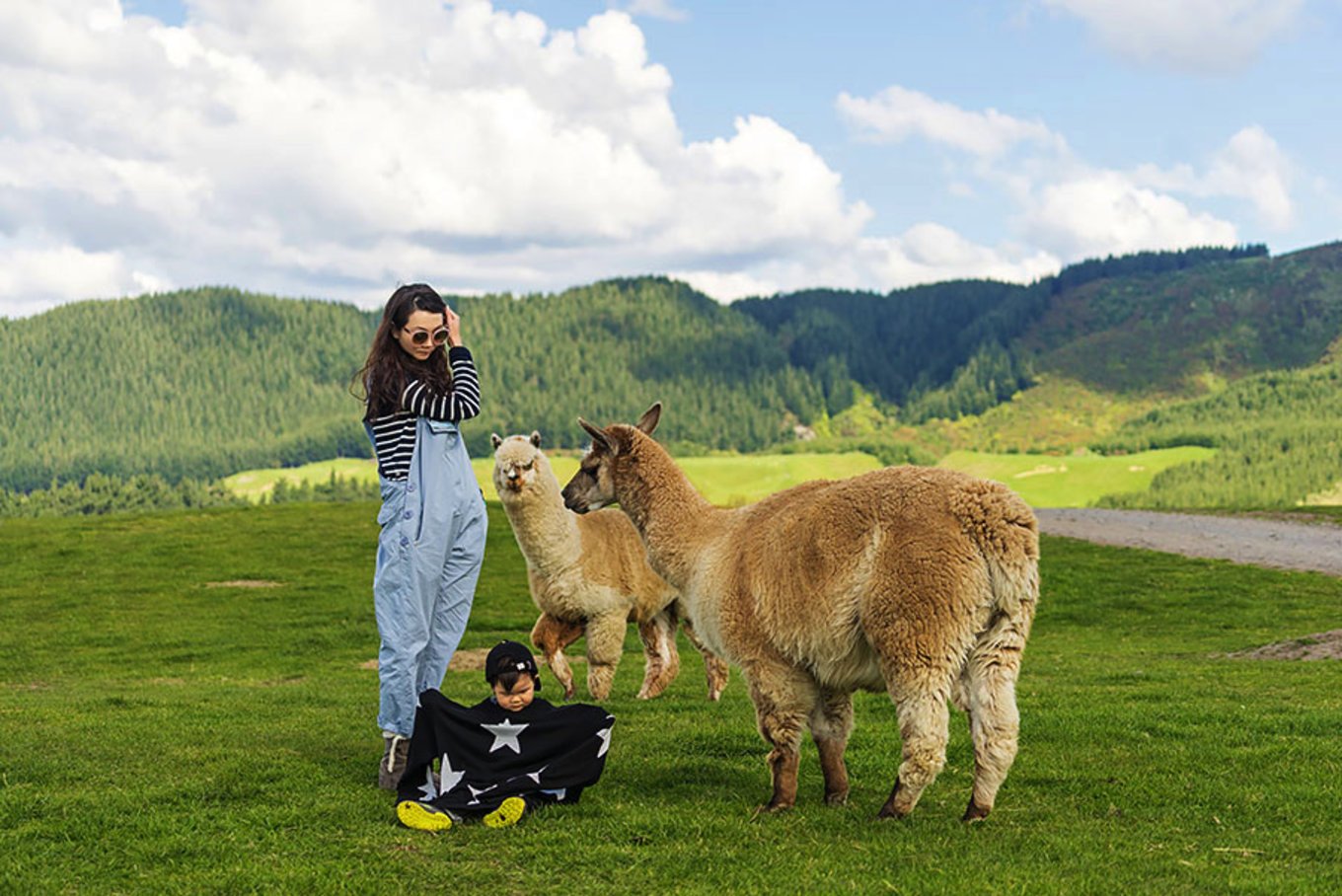 2024爱歌顿农场游玩攻略,agrodome是新西兰最佳旅游景.【去哪儿攻略】