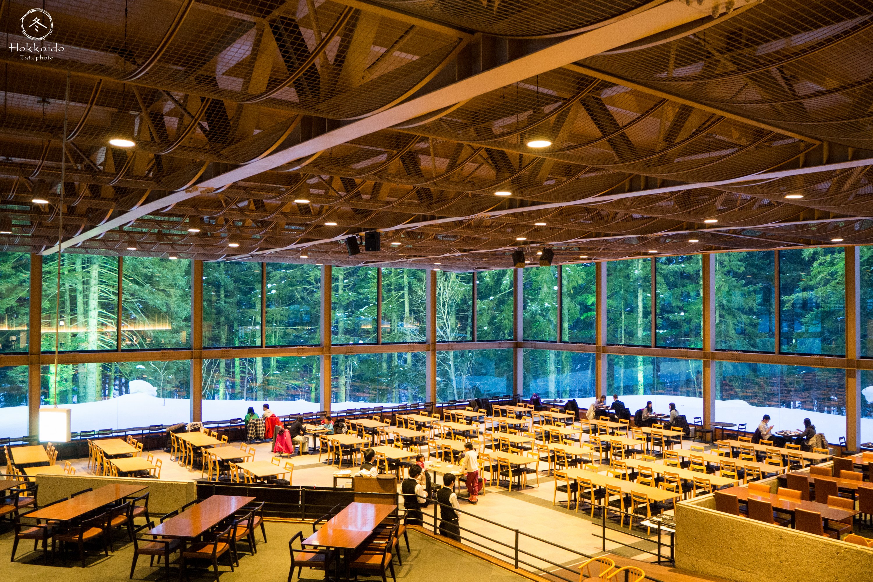 内规模最大的自助餐厅被百年树龄的虾夷松林包围在大自然的包围下享受